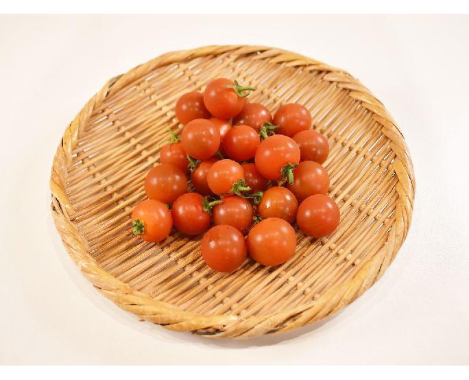 プチトマト（約200g） 1パック