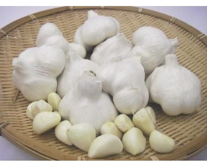 国産皮付にんにく（約1kg） 1袋