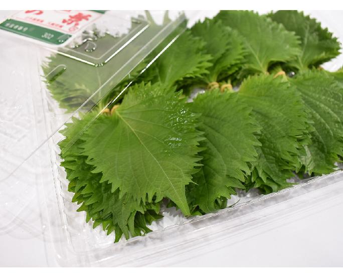 大葉（100枚） 1パック