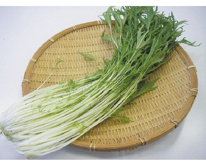 水菜（約200g） 1パック