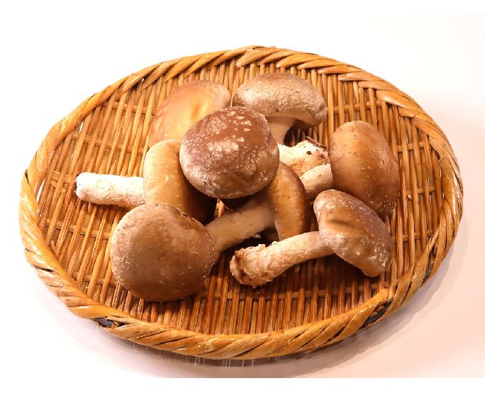 生椎茸（8Ｍ/約100g） 1パック