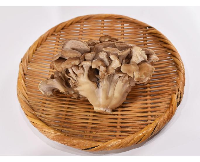 舞茸（約100g） 1パック
