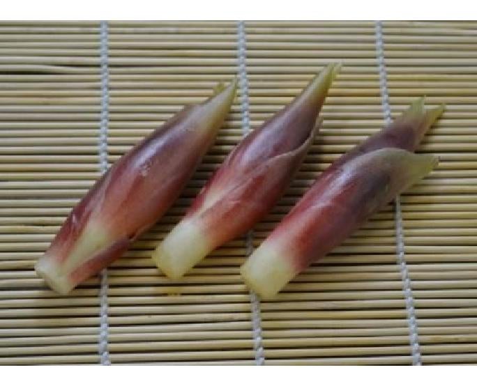 みょうが（約50g） 1パック