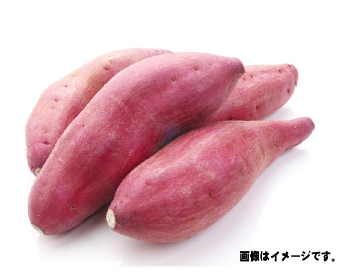 さつま芋（2Ｌｻｲｽﾞ） 1本