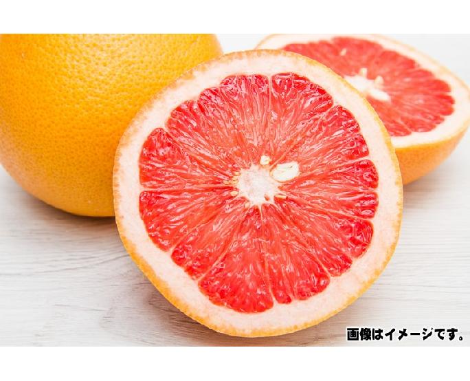 ルビーグレープフルーツ（40玉サイズ） 1個