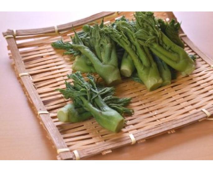 天ぷら用　たらの芽水煮 700g