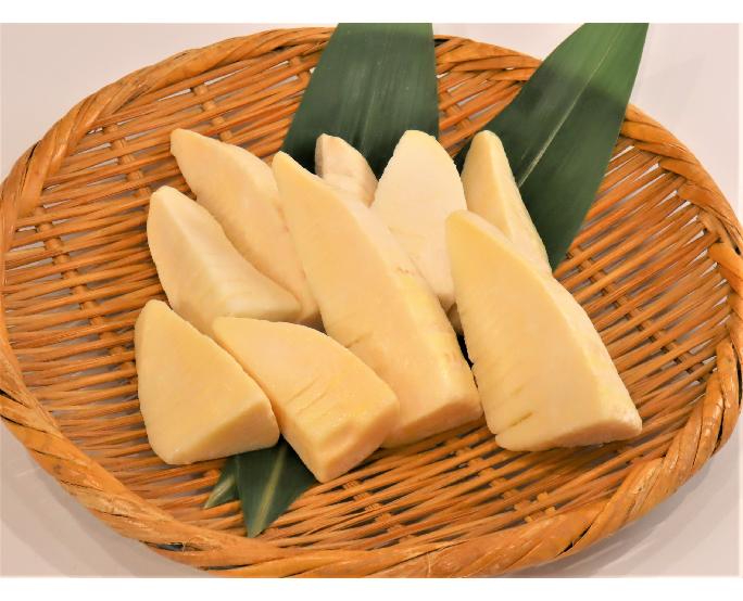 たけのこ穂先カット（冷凍） 500g