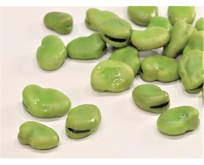 ゆで済み 鮮やかそらまめ 500g