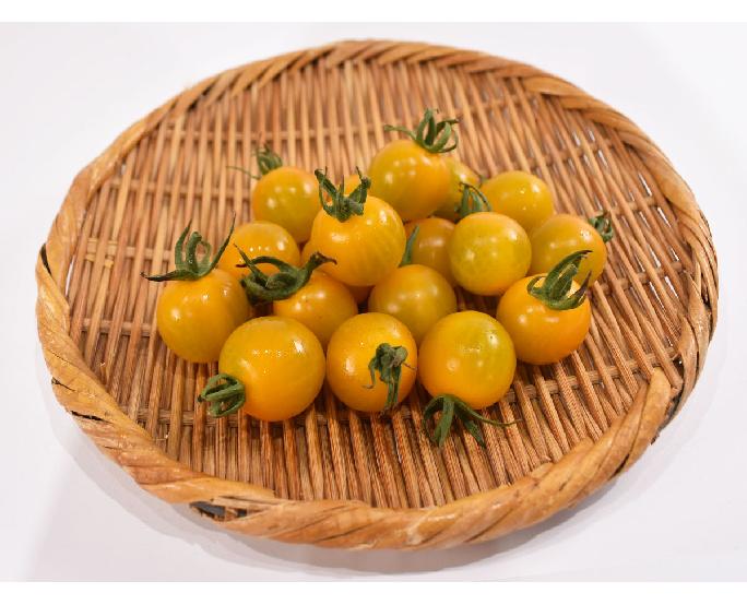 黄プチトマト（約200g） 1パック