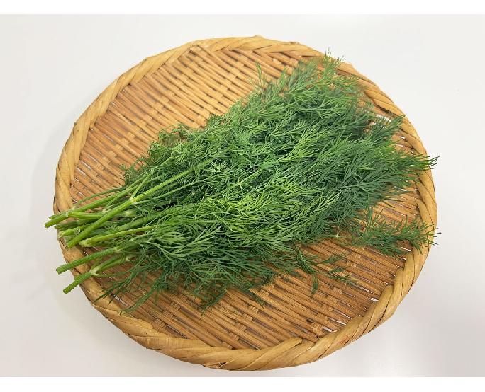 ディル（15-20g） 1パック