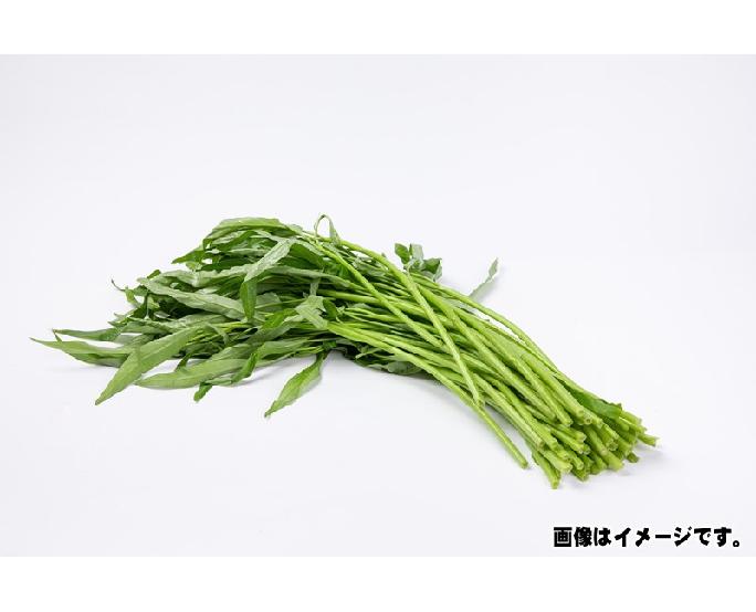 空心菜（約100ｇ）　1ﾊﾟｯｸ
