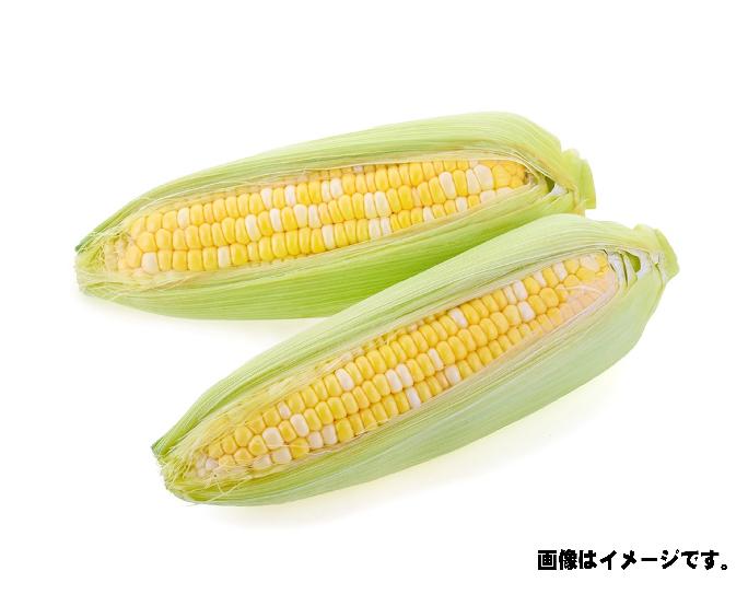 とうもろこし　1本