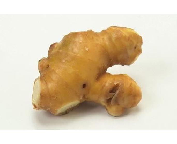 国産生姜（約100g） 1パック