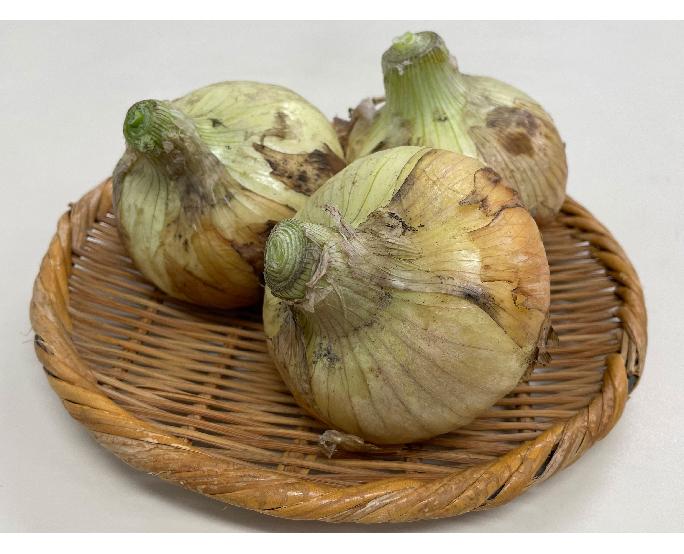 新玉ねぎ 1kg