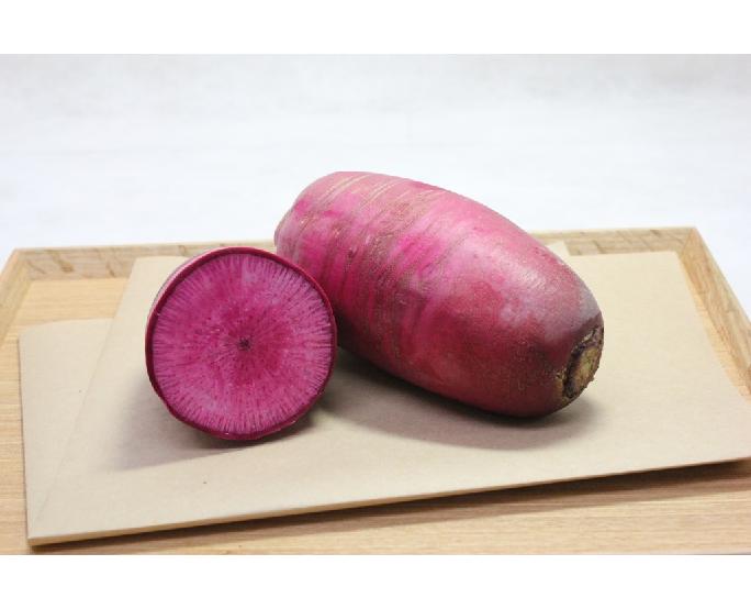 【有機野菜】紅くるり大根 1本