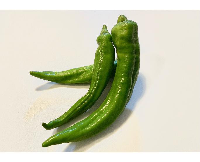 万願寺ししとう（緑）（約150ｇ）　1ﾊﾟｯｸ