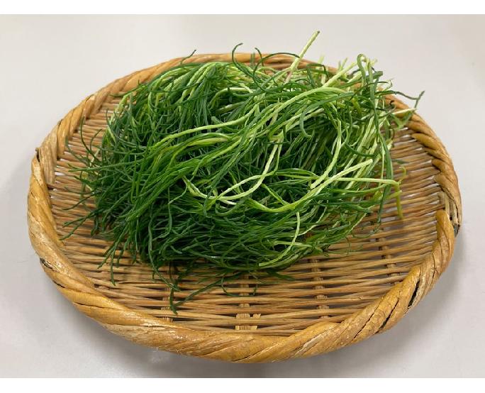 おかひじき  （約80g） 1パック