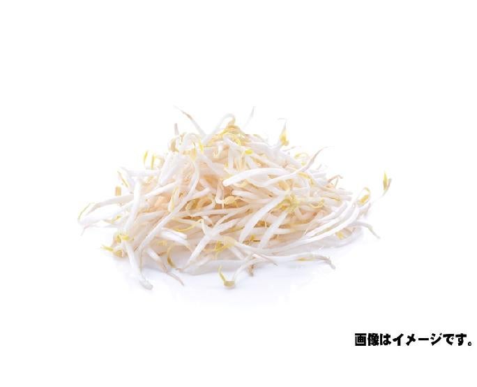 もやし（約1kg） 1パック