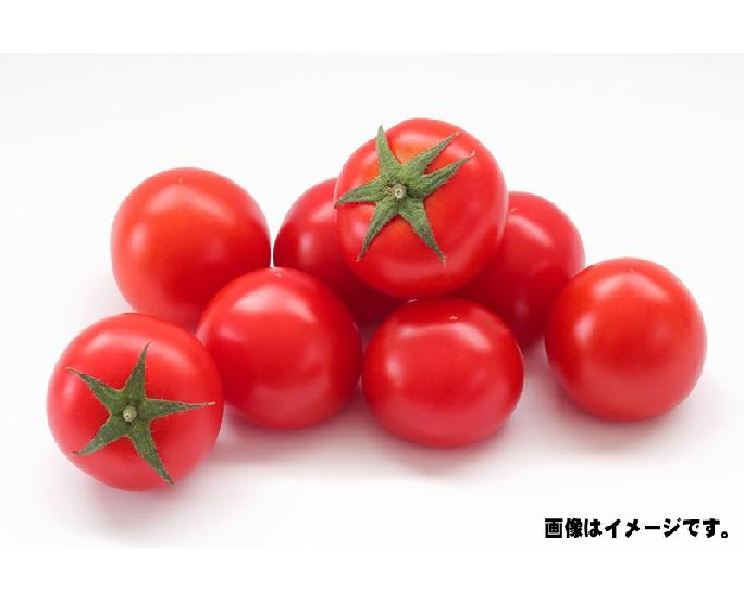 ミディトマト（約200ｇ）　1ﾊﾟｯｸ