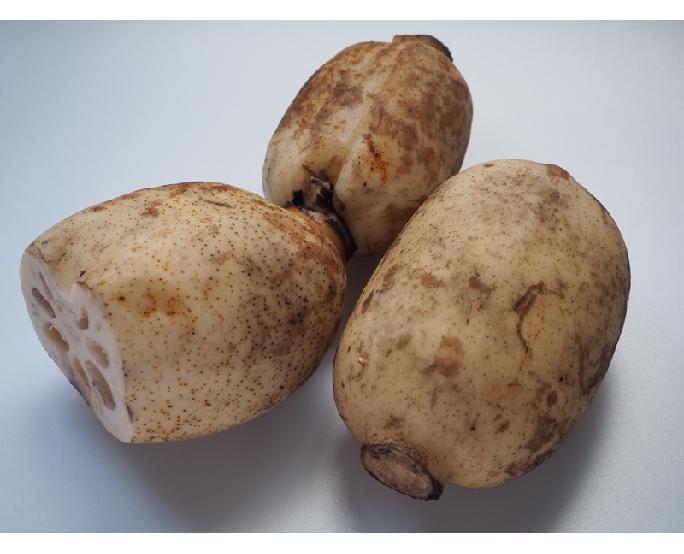 蓮根（約1kg） 1パック
