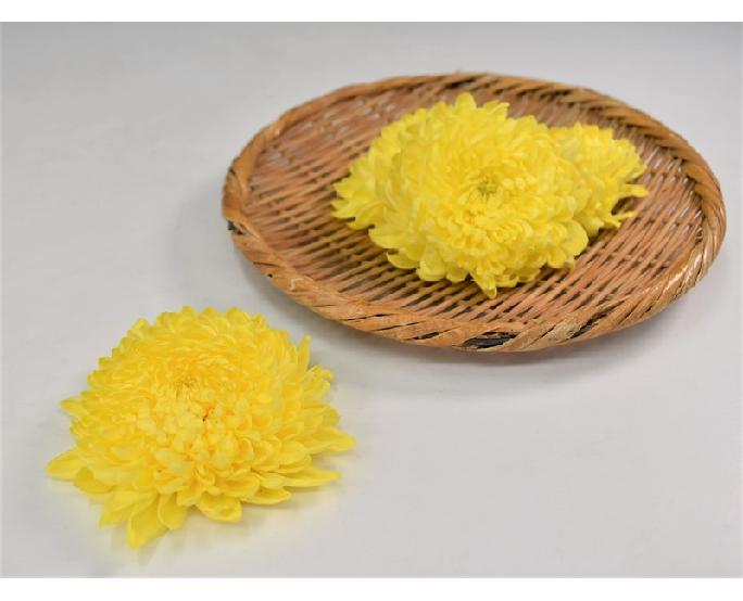 食用菊（黄）（約100ｇ） 1パック