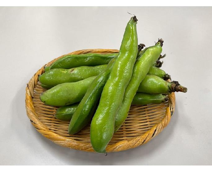 そら豆（Ｌｻｲｽﾞ） 1kg