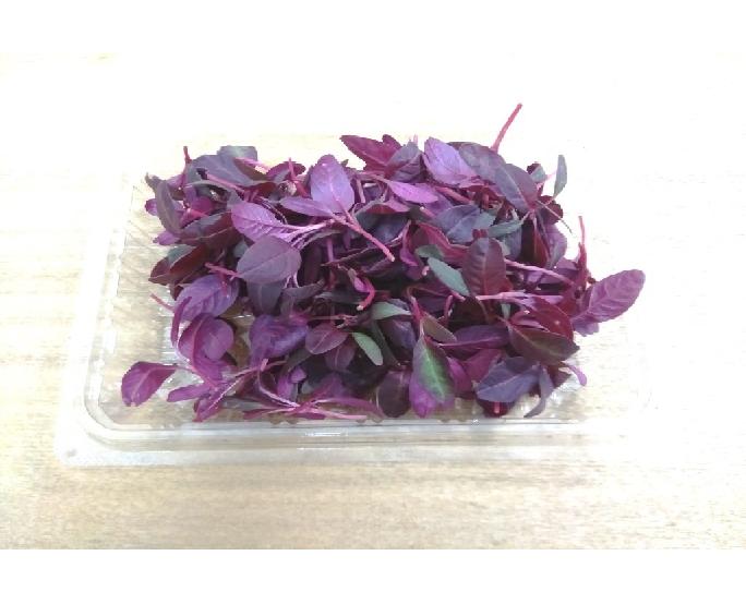 【有機野菜】マイクロアマランサス（約18ｇ） 1パック