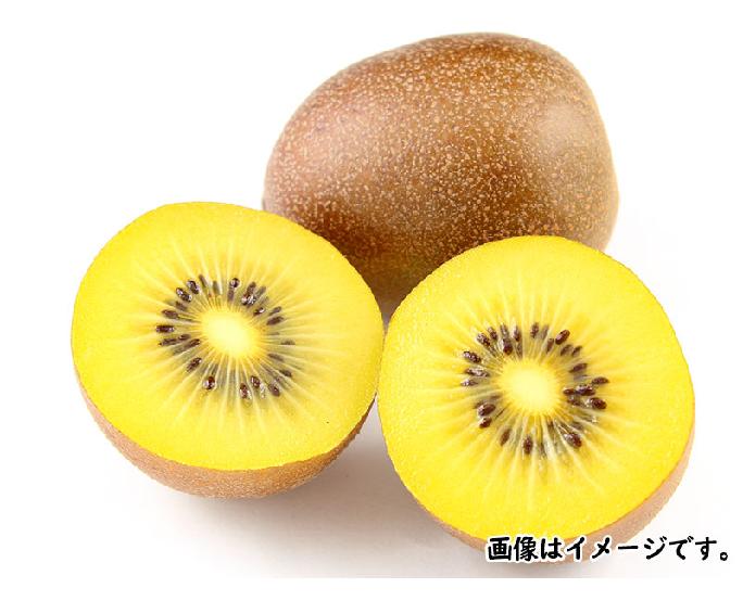 ゴールドキウイ（約100g） 1個