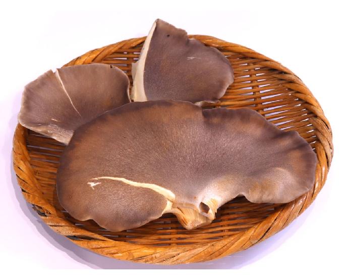 黒あわび茸（約100ｇ） 1パック