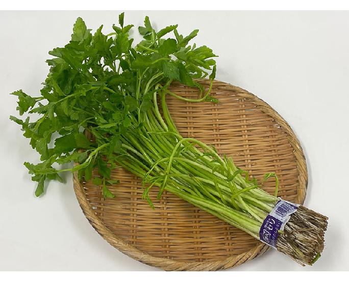 セリ　（約120ｇ） 1束