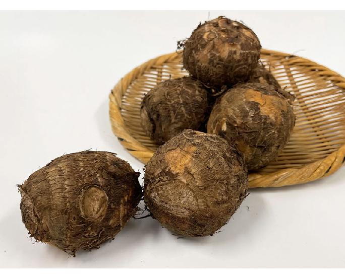 里芋（2Lサイズ）（約500g） 1パック