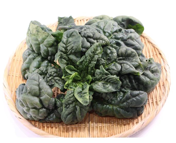 ちぢみほうれん草（約200ｇ） 1パック