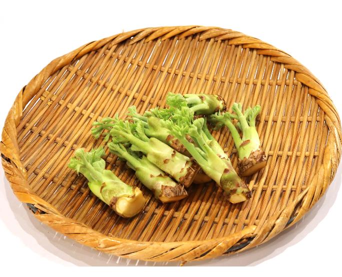 たらの芽（約50ｇ） 1パック