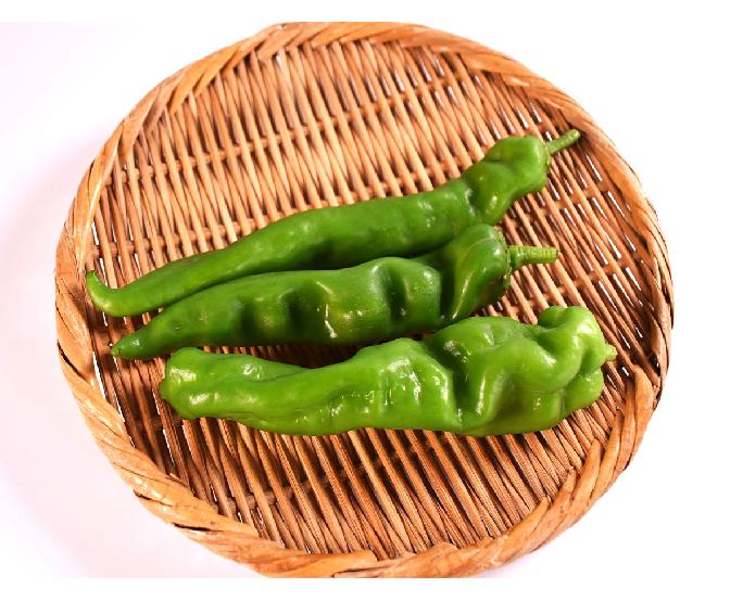 【京野菜】万願寺唐辛子（約100ｇ） 1パック