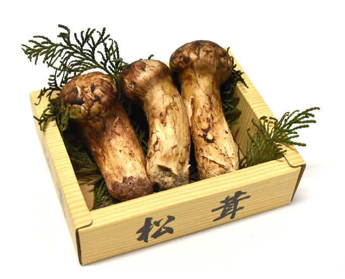 中国産松茸（100-150ｇ） 1パック
