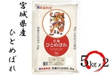 【令和6年産】宮城県産ひとめぼれ 5kg×2 精米