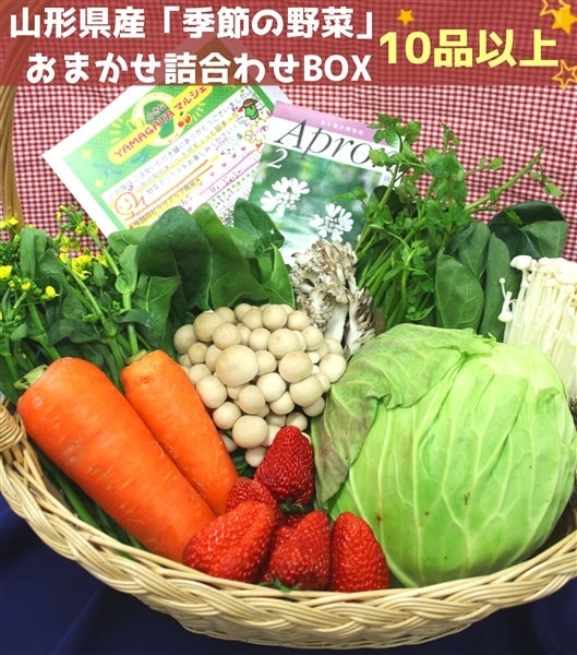 山形県産「季節の野菜」おまかせ　詰合わせBOX「10品以上」！