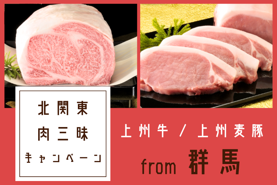 上州牛・上州麦豚　群馬の肉三昧セット【北関東3県ショップ共同企画】