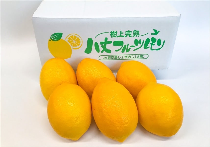 【贈答箱】八丈フルーツレモン　約2kg　特選品