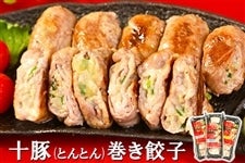 十勝ナチュレ十豚（とんとん）巻き餃子セット