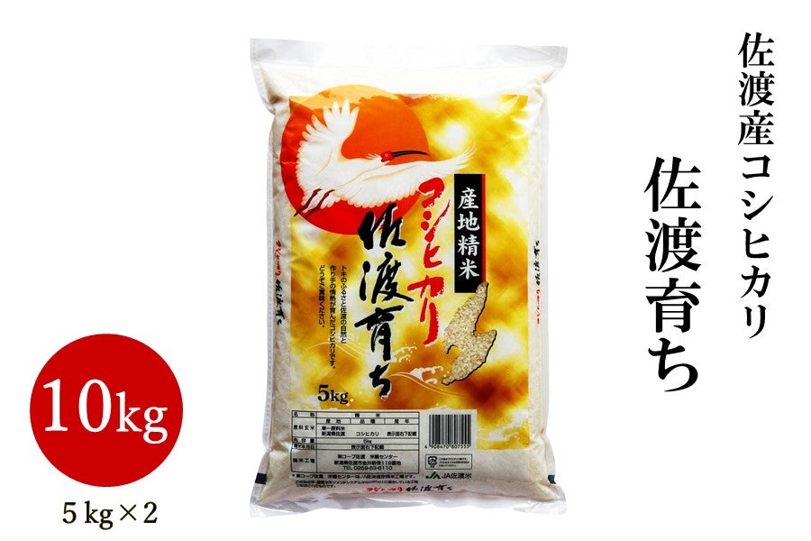 佐渡産コシヒカリ 佐渡育ち 5kg×2　令和６年産