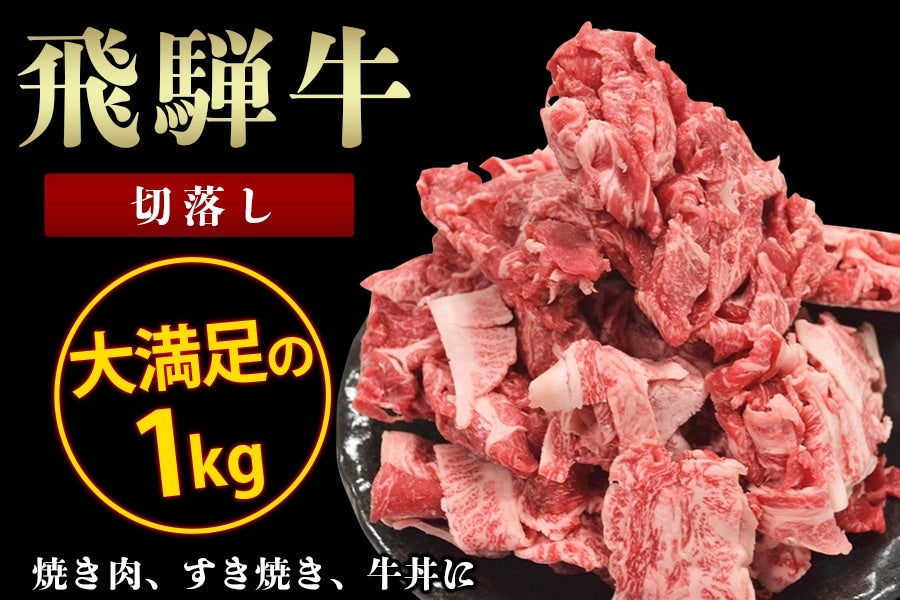 飛騨牛 切落し 1kg（500g×2）