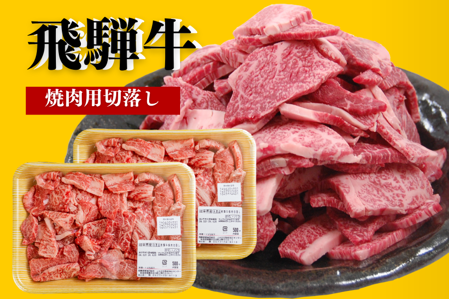 飛騨牛 メガ盛り 焼肉用 1kｇ(500ｇ×2)