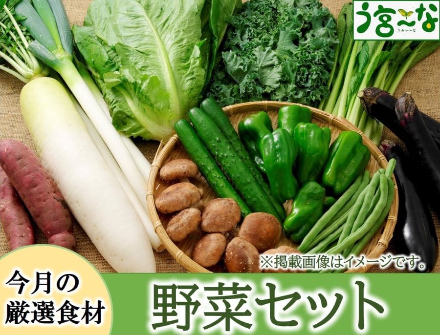 「う宮～な」厳選食材セット「野菜」 ＪＡふじ伊豆