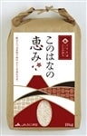 令和６年産　ごてんばこしひかり「このはなの恵み」10kg ＪＡふじ伊豆