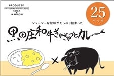 黒田庄和牛ぎゅぎゅっとカレー（25パック）　　　※お客様送料負担0円！