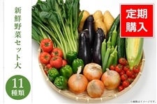 ※【定期便】新鮮野菜セット（11種類）