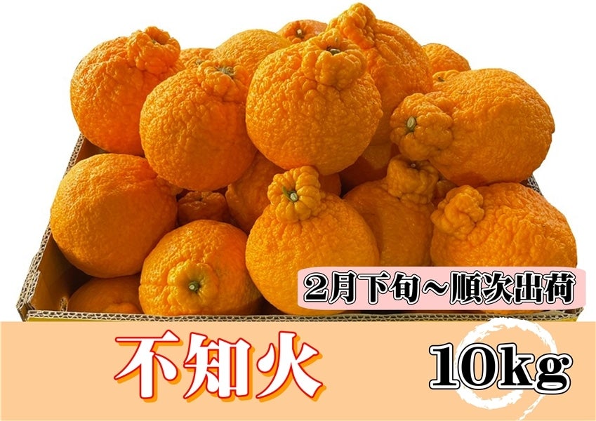 不知火　10ｋｇ　2月下旬～順次出荷　【AQ選果場】