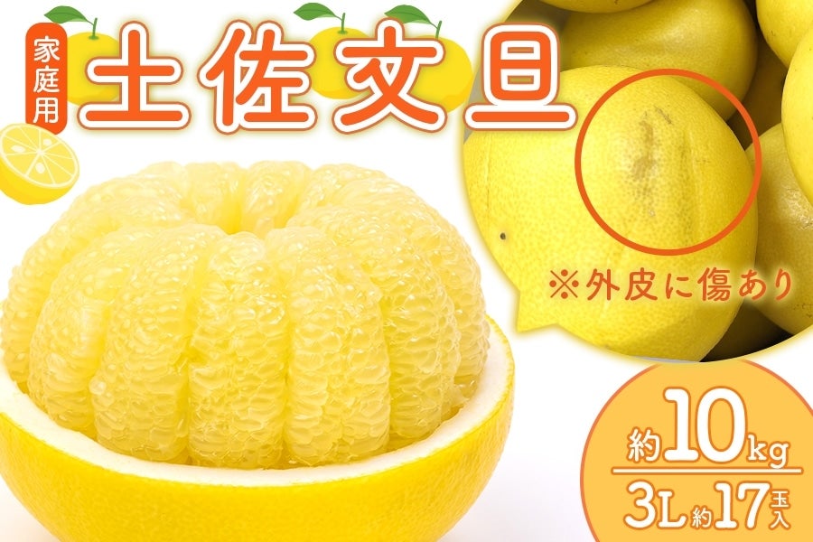 【家庭用】土佐文旦 3L約17玉入（約10kg）