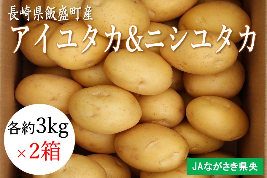 【予約販売】アイユタカ＆ニシユタカ 各約3kg（長崎県飯盛産/JAながさき県央）※5/7より順次出荷予定